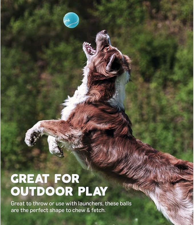 Outward Hound Squeaker Ballz Fetch Dog Toy, Medium - 4 Pack - PAWPICO