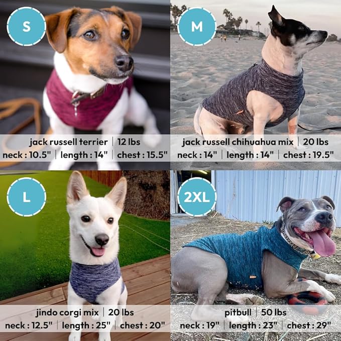 Gooby Zip Up Fleece Dog Sweater - Fuchsia Wash, Small - Warm Pullover Fleece Step-in Dog Jacket with Dual D Ring Leash - Winter Small Dog Sweater - Dog Clothes for Small Dogs Boy and Medium Dogs - PAWPICO