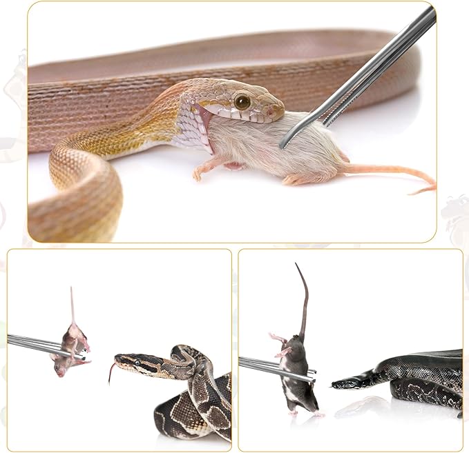 2 Pcs Snake Feeding Tongs, Snake Hook Snake Grabber Tool Snake Stick Reptile Tongs for Ball Python Tank Accessories Snake Tank Accessories(15in) XLSXEXCL