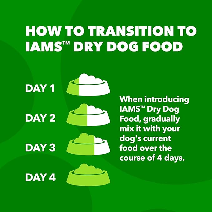 IAMS Minichunks Adult Dry Dog Food Lamb & Rice Recipe Dog Kibble, 15 lb. Bag - PAWPICO
