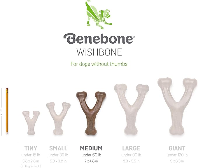 Benebone Indestructible Wishbone Dog Chew Toy for Aggressive Chewers, Long Lasting Tough Boredom Breaker for Dogs, Real Peanut Flavour, For Medium Dogs, Made in the USA. - PAWPICO