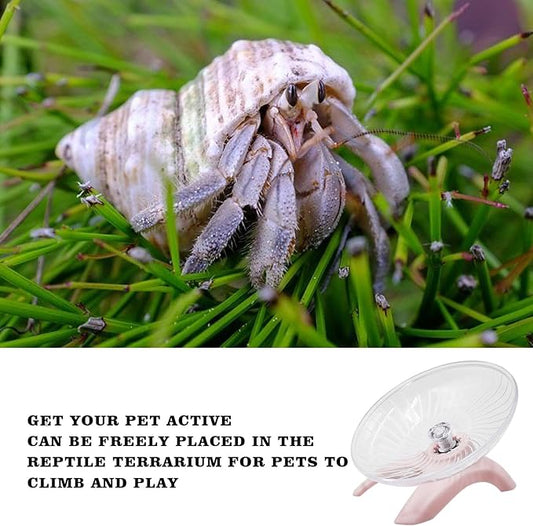 Hermit Crabs Wheel Toy, Hamster Running Wheel Toys, Small Animals Cage Accessory, Tank Accessory, Suitable for Hermit Crab Hamster Rat Oooct