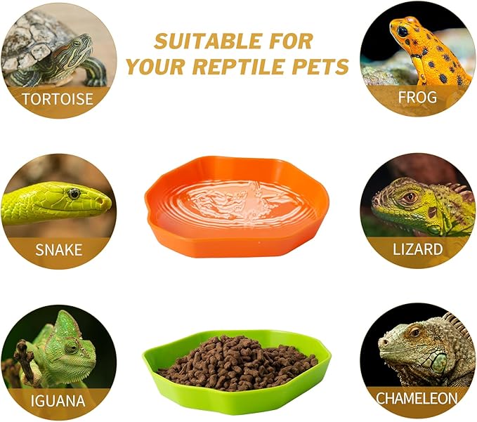 4 Pack Reptile Food Dish Bowl, Plastic Worm Water Dish Plate for Lizard Gecko Bearded Dragon Chameleon, Green and Orange, 2 Sizes COMSUN