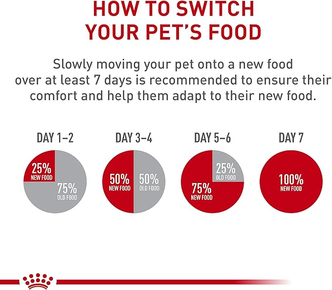 Royal Canin Small Breed Adult Dry Dog Food, 2.5 lb bag - PAWPICO