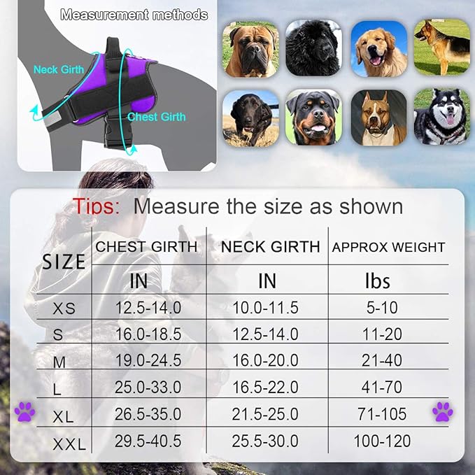 Bolux Dog Harness, No-Pull Reflective Dog Vest, Breathable Adjustable Pet Harness with Handle for Outdoor Walking - No More Pulling, Tugging or Choking (Purple, XL) Bolux