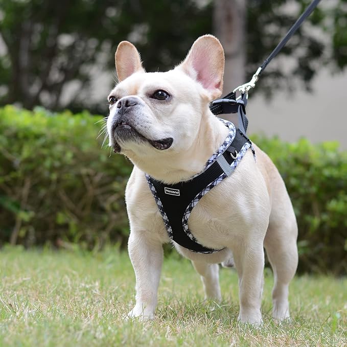 Mercano Soft Mesh Dog Harness and Leash Set, No-Chock Step-in Reflective Breathable Lightweight Easy Walk Escape Proof Vest Harnesses with Safety Buckle for Small Medium Dogs, Cats (Black White, L) PAWPICO