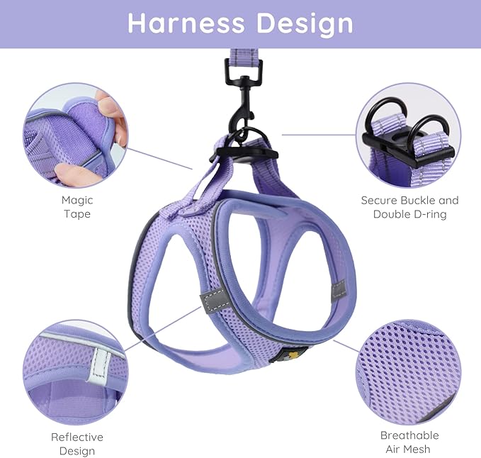 BELLA & PAL Puppy Harness with Leash Set, Dog Harness for Small Dogs No Pull, Dog Leash for Small Dogs, Step in Harness for Extra Small Dogs, Purple Lavender Harness, M BELLAPAL