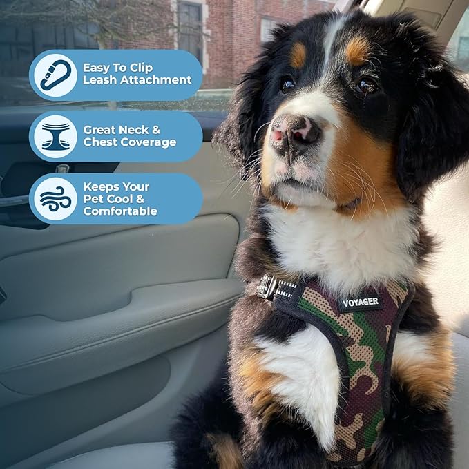 Best Pet Supplies Voyager Adjustable Dog Harness Leash Set with Reflective Stripes for Walking Heavy-Duty Full Body No Pull Vest with Leash D-Ring, Breathable All-Weather - Army/Black Trim, XL BestPetSuppliesLLC