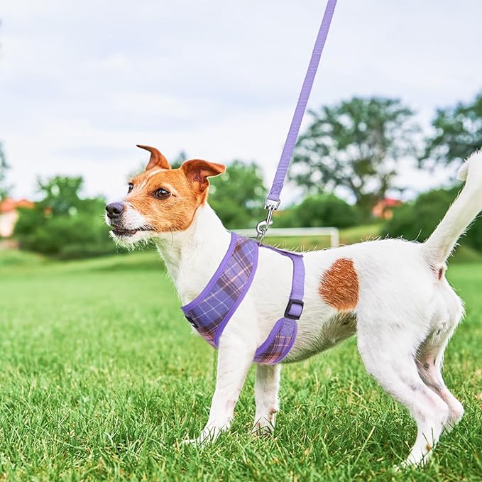 SCENEREAL Puppy Dog Harness with Leash Set for Small Medium Sized Dogs, Soft Mesh Step in Pet Harnesses and Leash, No Chock Plaid Adjustible No Pull Vest for Dogs Cats, Chihuahua,Bulldog (Purple S) SCENEREAL