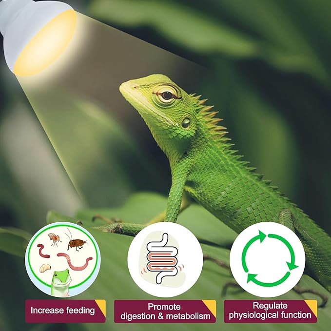150W Reptile Heat Lamp Bulb,Basking Spot Lamp Bulb for Reptiles & Amphibians,Reptile Daylight Heat Bulb for Bearded Dragon, Lizard, Turtle REPTIHOME