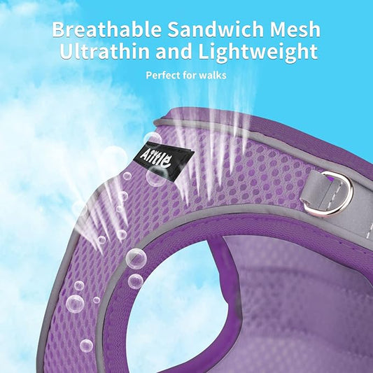 AIITLE Dog Harness, Spring No-Pull Cat Harness with a Leash, Adjustable Reflective Dog Vest, Cat Harness Escape Proof, Outdoor Walking, Camping for Extra Small Dogs and House Cats Pure Purple XXXS AIITLE-FORPETSBETTERLIFE