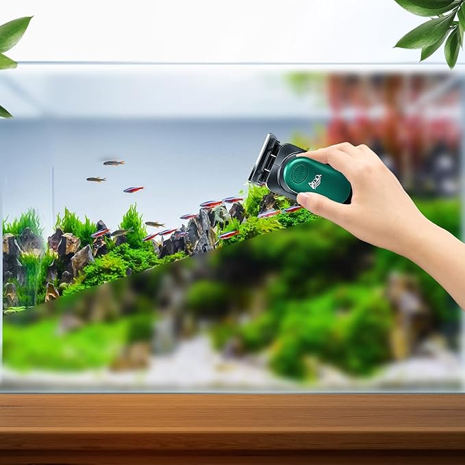 AQQA Aquarium Strong Magnetic Cleaner Brush, Fish Tank Glass Algae Magnet Cleaning Tool Floating Cleaner Scrubber Brush with 2 Detachable Scraper (Green,M) AQQA