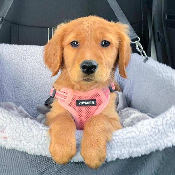 Best Pet Supplies Voyager Adjustable Dog Vest Harness Breathable No Pull Harness for Small, Medium, Large Dogs, Heavy Duty Harness for Walking, Jogging, Easy Step-in, Reflective Stripes - (Pink), XS BestPetSuppliesLLC