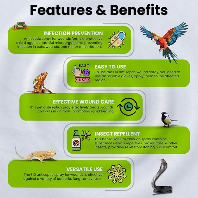 F10 Antiseptic Barrier Ointment for Reptiles, Birds, Small Animals & Exotic Animals, Natural Wound Healing Ointment for Pet, Relieves Pain & Prevents Infection - 500g F10
