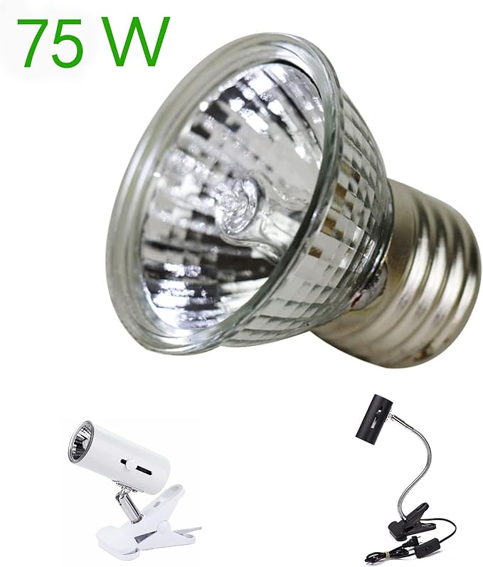 CALPALMY 4-Pack 75W UVA+UVB Bulbs | Heat and Light for Reptiles and Amphibian Tanks, Terrariums and Cages | Works with Various Lamp Fixtures CalPalmy