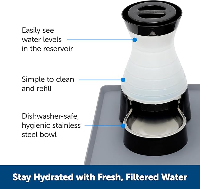 PetSafe Healthy Pet Water Station - Small, 64 oz Capacity - Gravity Pet Water Fountain, Automatic Cat Water Fountain, Dog Water Fountain, Water Dispenser - Removable Stainless Steel Bowl Included - PAWPICO