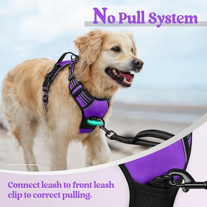 rabbitgoo Dog Harness No Pull with 2 Leash Clips, Adjustable Soft Padded, Reflective Oxford No Choke Pet Vest with Easy Control Handle for Large Dogs, Purple, L rabbitgoo