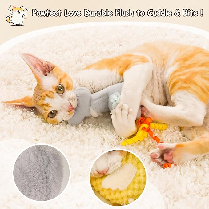 ORSDA Cat Toys, Cat Wand Toy for Indoor Cats, Interative Cat Toy to Chase & Exercise, Teaser Bird Toy for Cats with 5 Replacement Kitten Toys for All Breeds - PAWPICO