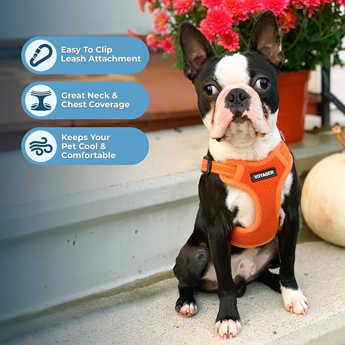 Best Pet Supplies Voyager Adjustable Dog Vest Harness Breathable No Pull Harness for Small, Medium, Large Dogs, Heavy Duty Harness for Walking, Jogging, Easy Step-in, Reflective Stripes - (Orange), L BestPetSuppliesLLC