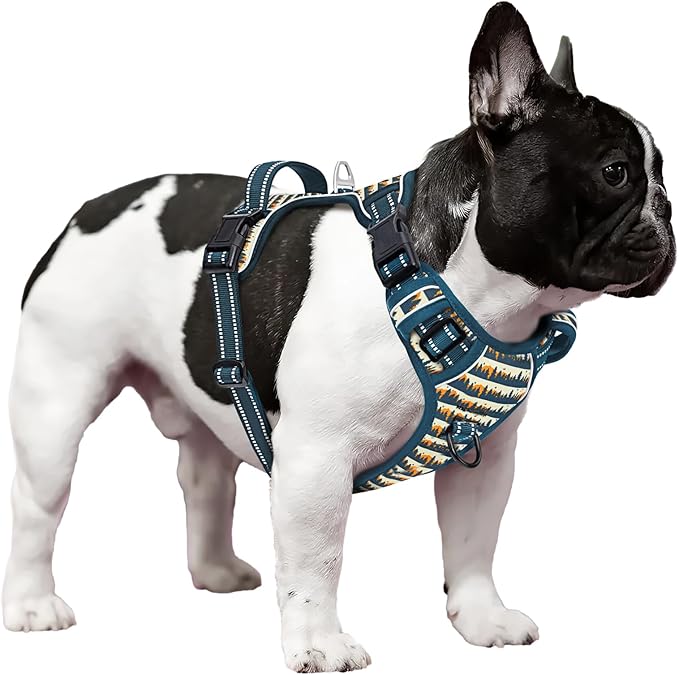 Timos Dog Harness, 3 Snap Buckles No-Pull Soft Padded Dog Vest with 2 Metal Leash Clips, Adjustable Reflective No Choke Pet Harness with Easy Control Handle for Small Dogs, Sunset Valley, S Timos