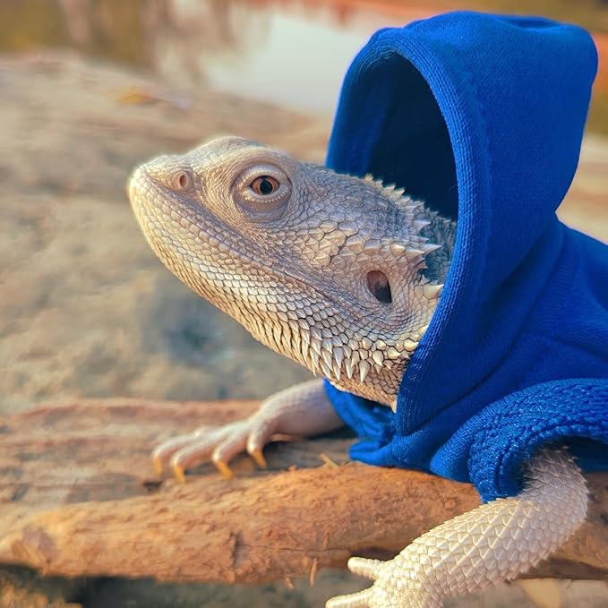 Lizards Clothes for Bearded Dragon - Handmade Cotton Hoodies Warm Sweater Coat Reptiles Apparel Costume Skin Protection Photo for Lizard Bearded Dragon Crested Gecko Chameleon (Blue,Large) SEZDEKI