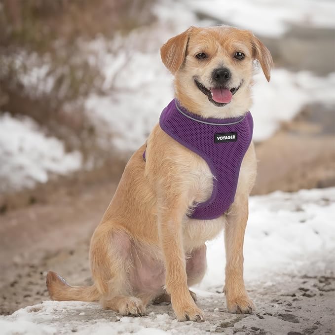 Voyager Aerolite No Pull Mesh Dog Harness with Lightweight, Soft, Breathable, Reflective Stitching, and Adjustable Straps for Walking, Running, Training, Heavy Duty and Durable - Purple, L BestPetSuppliesLLC