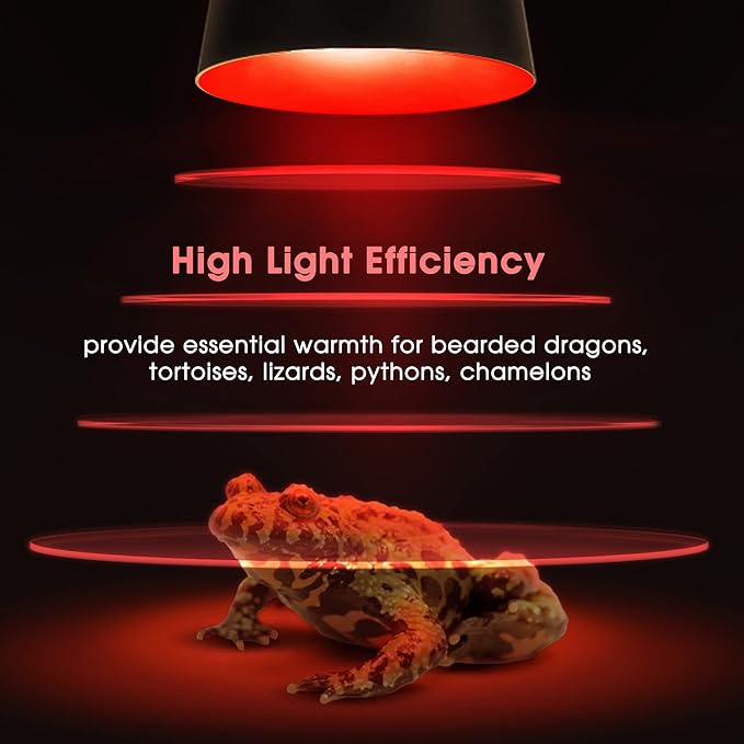 Briignite G9 Infrared Heat Lamp Bulbs for Reptile, Mini Reptile Light, Dimmable Night Red UVA Reptile Heat Lamp, 2 Pin Base Mini Heat Bulbs 50W, Bearded Dragon Turtle Lizard, 6 Pack WelcometoBriigniteenjoyyourshopping