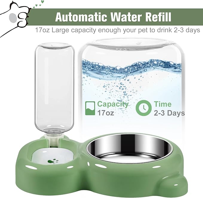 Dog Bowls, Cat Food and Water Bowl Set with Water Dispenser and Stainless Steel Bowl for Cats and Small Dogs - Green - PAWPICO