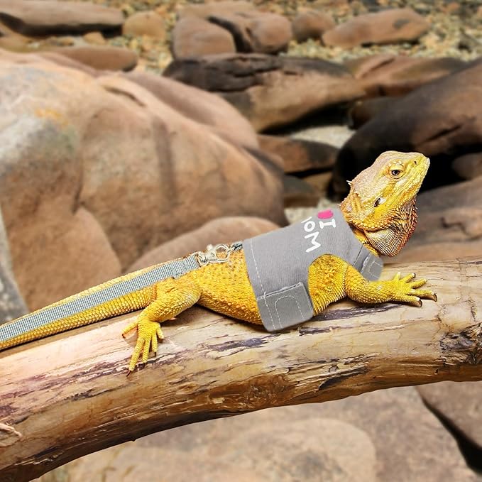 Bearded Dragon Harness and Leash Set - Adjustable Lizard Harness with Glow in The Dark Print Outdoor Traction Rope Walking Leash Reptile Halloween Costume Accessories for Small Pets (Grey) SEZDEKI