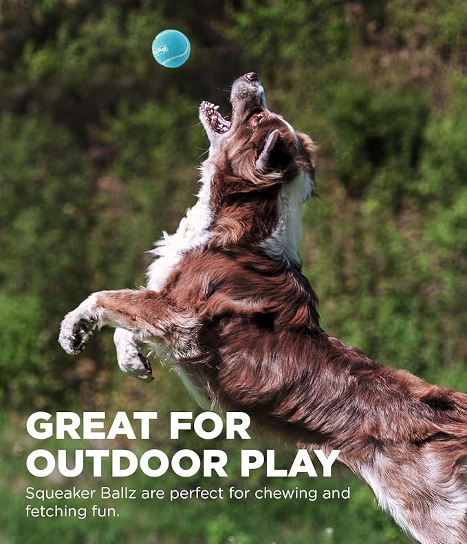 Outward Hound Squeaker Ballz Fetch Dog Toy, Medium, 6-Pack - PAWPICO