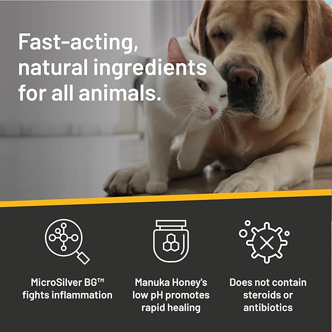 Absorbine Silver Honey Rapid Ear Care Vet Strength Pet Wipes, 50ct, Manuka Honey & MicroSilver BG Absorbine