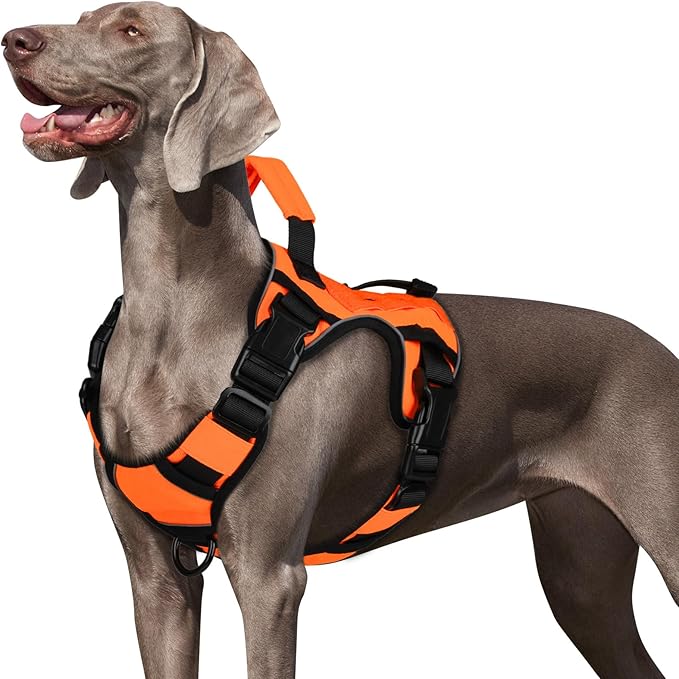 WINGOIN Orange Tactical Dog Harness Vest for Large Medium Dogs No Pull Adjustable Reflective K9 Military Dog Service Dog Harnesses with Handle for Walking, Hiking, Training(M) WINGOIN