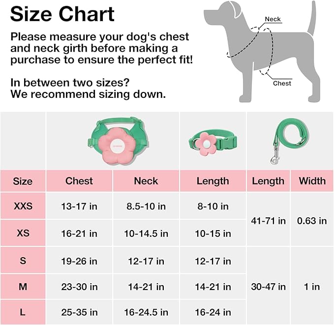 VETRESKA Flora Dog Harness, Leash and Collar Set, No Pull Dog Vest Harness for Walking and Training, Adjustable, Easy Control and Soft Padded Pet Harness and Backpack for Small Medium Large Dogs, S VETRESKA