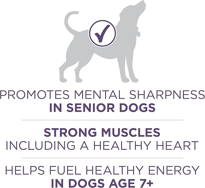Purina ONE High Protein Dry Senior Dog Food Plus Vibrant Maturity Adult 7 Plus Formula - 16.5 lb. Bag - PAWPICO