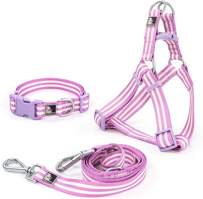 Striped Dog Harness Collar and Leash Set, Polyester Webbing Dog Collar Easy Walking and Training Dog Harness and Leash 3-in-1 Suit Adjustable Dog Harness Collar Leash Set for Dogs(Purple, M) Tiffpaws