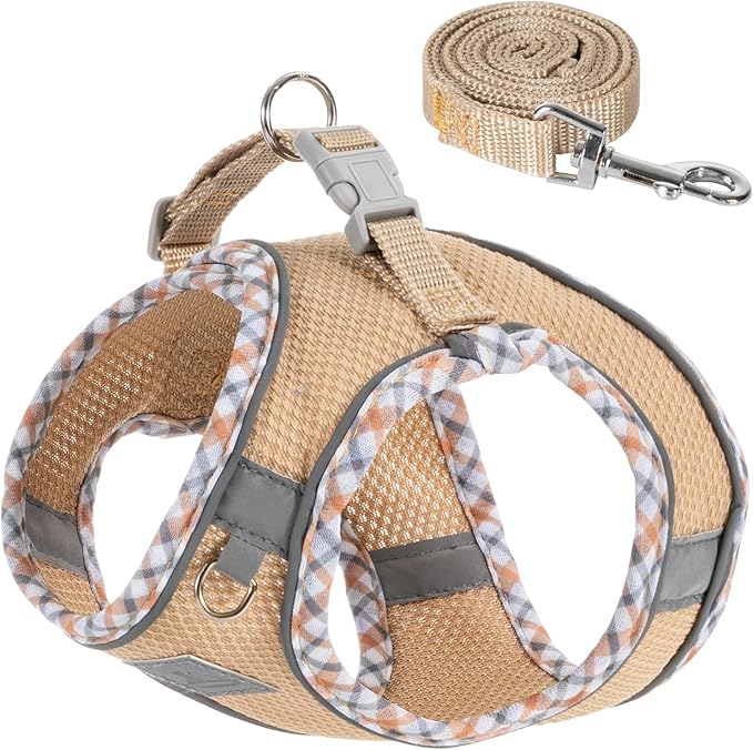Dog Harness and Leash Set, No Pull Pet Harness for Small Dogs Easy Walking,Soft Breathable Small Dog Harness,Adjustable Reflective Step in Vest Harness for Puppy,Kitten, Cats TomteNisse