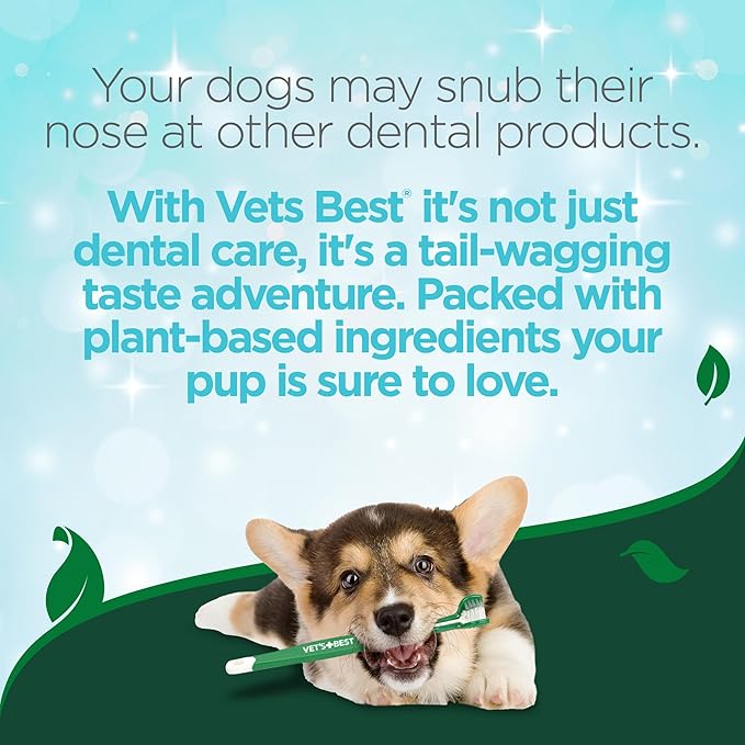 Vet's Best Enzymatic Dog Toothpaste - Teeth Cleaning and Fresh Breath Dental Care Gel - Vet Formulated - 3.5 oz Tubes (12 Pack) VetsBest