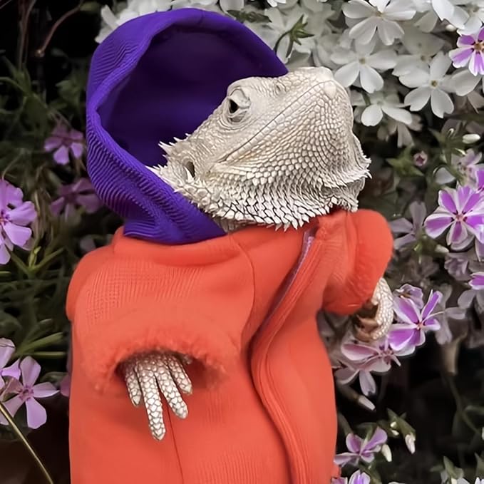 Lizards Clothes for Bearded Dragon - Handmade Cotton Hoodies Warm Sweater Coat Reptiles Apparel Costume Skin Protection Photo for Lizard Bearded Dragon Crested Gecko Chameleon (Orange,Large) SEZDEKI
