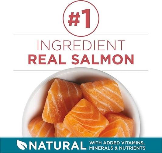 Purina ONE Natural Dry Cat Food, Tender Selects Blend with Real Salmon - 22 lb. Bag - PAWPICO