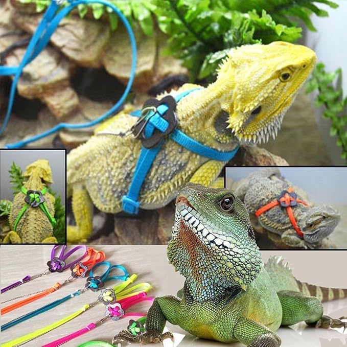 Hypeety Reptile Lizard Outdoor Walk Adjustable Harness Leash Anti-bite Light Soft Bearded Dragon Accessories Parrot African Grey Cockatoo Macaw Ringneck Outside Free Lovebird Supplies (Random Color) Hypeety