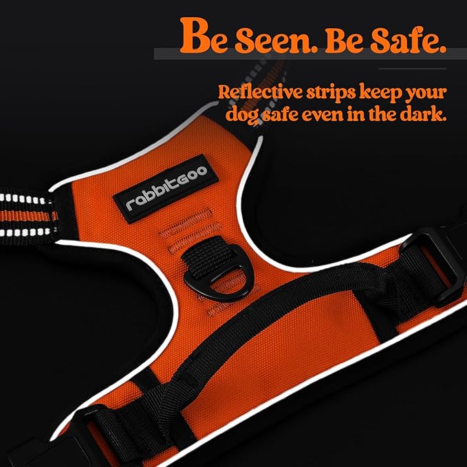 rabbitgoo Dog Harness No Pull with 2 Leash Clips, Adjustable Soft Padded, Reflective Oxford No Choke Pet Vest with Easy Control Handle for Small Dogs,Orange,S rabbitgoo