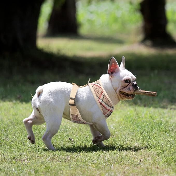 PUPTECK Soft Mesh Dog Harness and Leash Set Pet Puppy Cat Comfort Padded Vest No Pull Harnesses, Khaki, XS PUPTECK
