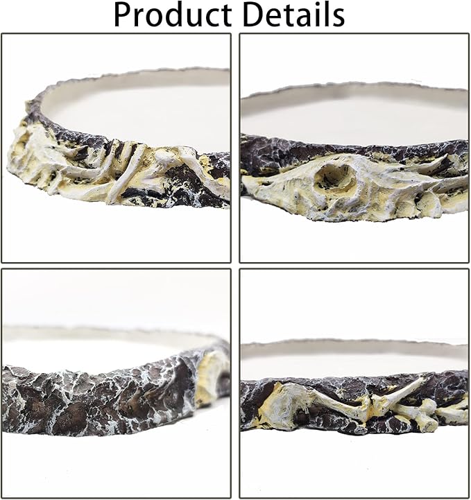 Tfwadmx 2 Pack Reptile Water Bowl Reptile Feeding Dish Reptile Feeder Food and Water Bearded Dragon Food Dish for Lizard Turtle Frog Leopard Gecko Snake Chameleon Tfwadmx