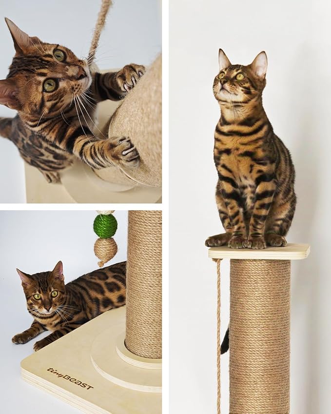 TINYBEAST Cat Scratching Post, Large 35'' Tall Sisal Cat Scratch Post with Thick Wooden Base for Indoor Cats, Super Stable Cat Scratcher Toy Protect Your Furniture - PAWPICO