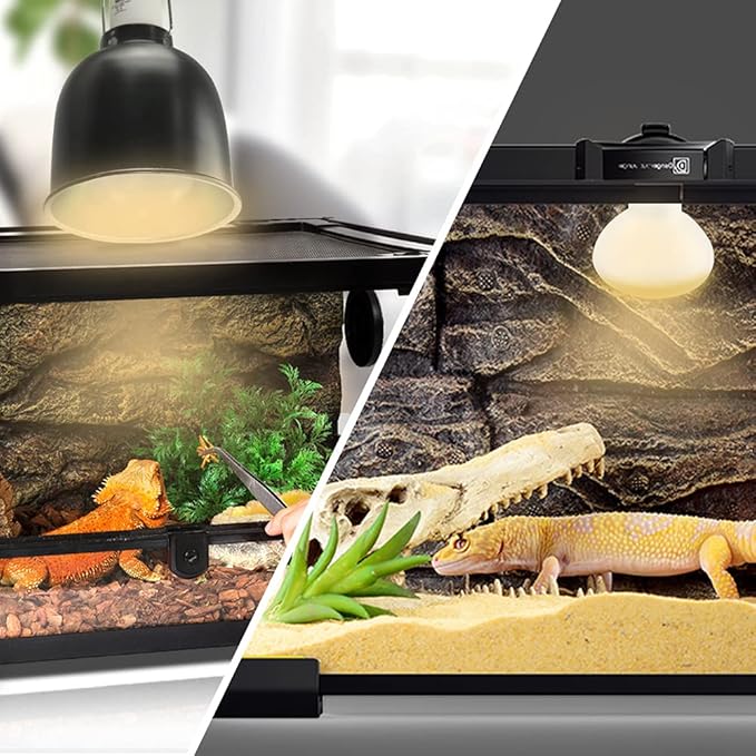 LUCKY HERP 2 Pack Reptile Heat Lamp Bulbs 75W (2nd Gen), Basking Light Bulb for Reptiles & Amphibians, Simulated Natural Sunlight Terrarium Heat Lamps for Bearded Dragon, Lizard, Turtle, Tortoise LUCKYHERP