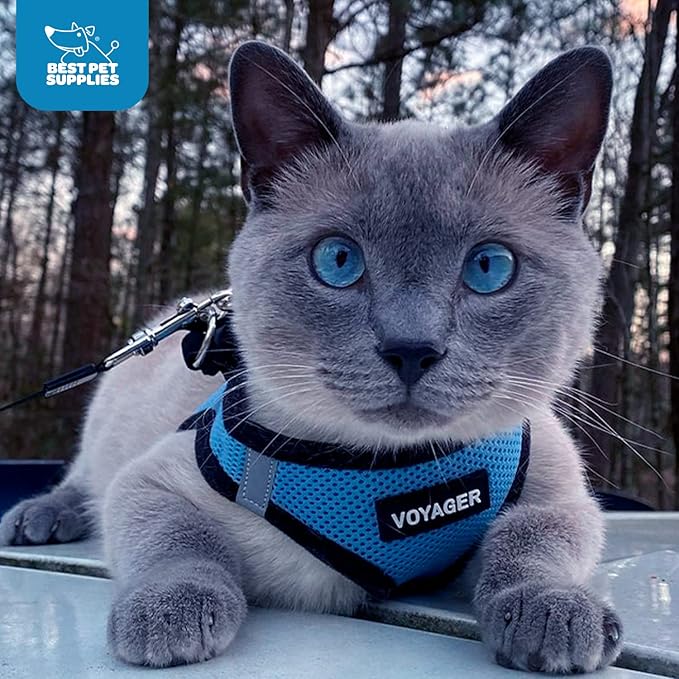 Voyager Step-in Air Dog Harness - All Weather Mesh, Reflective, No Pull Harness for Small, Medium Dogs, Cats - Secure with Hook & Loop Fastener, Buckle, Double D-Rings - Baby Blue/Black Trim, S BestPetSuppliesLLC