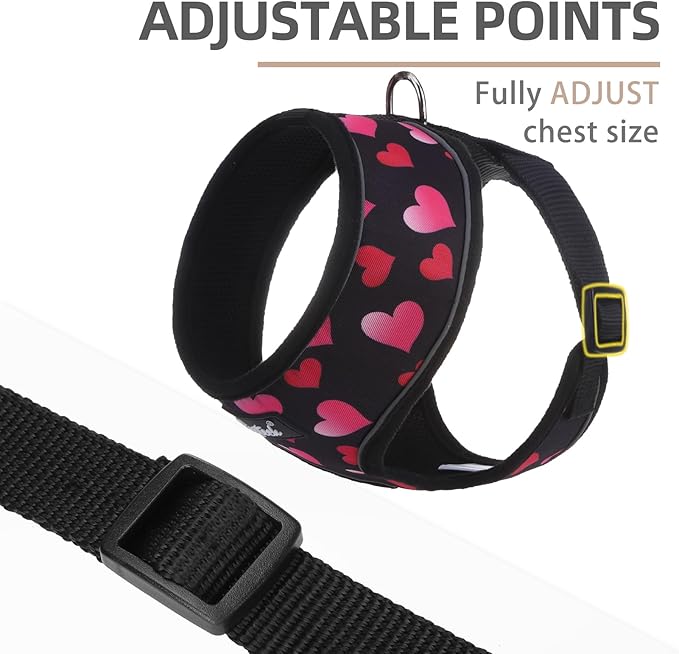 PUPTECK Soft Mesh Dog Harness and Leash Set Pet Puppy Cat Comfort Padded Vest No Pull Harnesses Valentine, Black&Pink, S PUPTECK