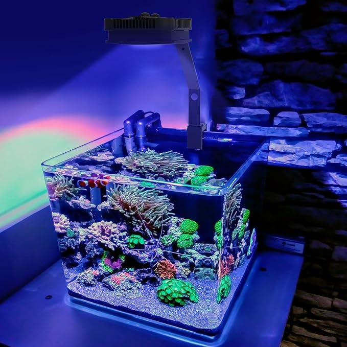 Lominie LED Aquarium Light Saltwater Aquarium Lamp 30W Full Spectrum with Remote Dimmable Nano Coral Reef Light for Fish Tank with Bracket Lominie