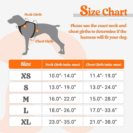 rabbitgoo Dog Harness No Pull with 2 Leash Clips, Adjustable Soft Padded, Reflective Oxford No Choke Pet Vest with Easy Control Handle for Puppy, Orange,XS rabbitgoo