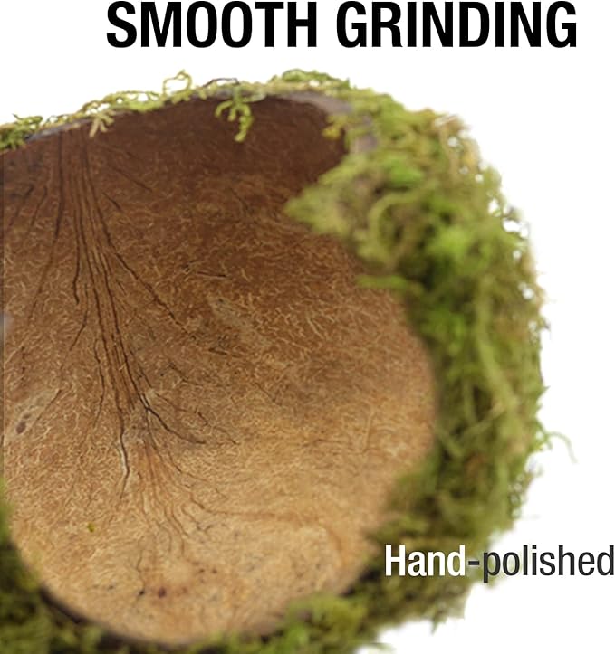 Hamster Hideaway,Hamster Hideout,Mossy Cave Hide,Hamster House/Hides,Hamster Cage Accessories for Gguinea Pig/Hedgehogs/Gliders/Rats/Mice and Other Small Animals (Small) SanmooAio